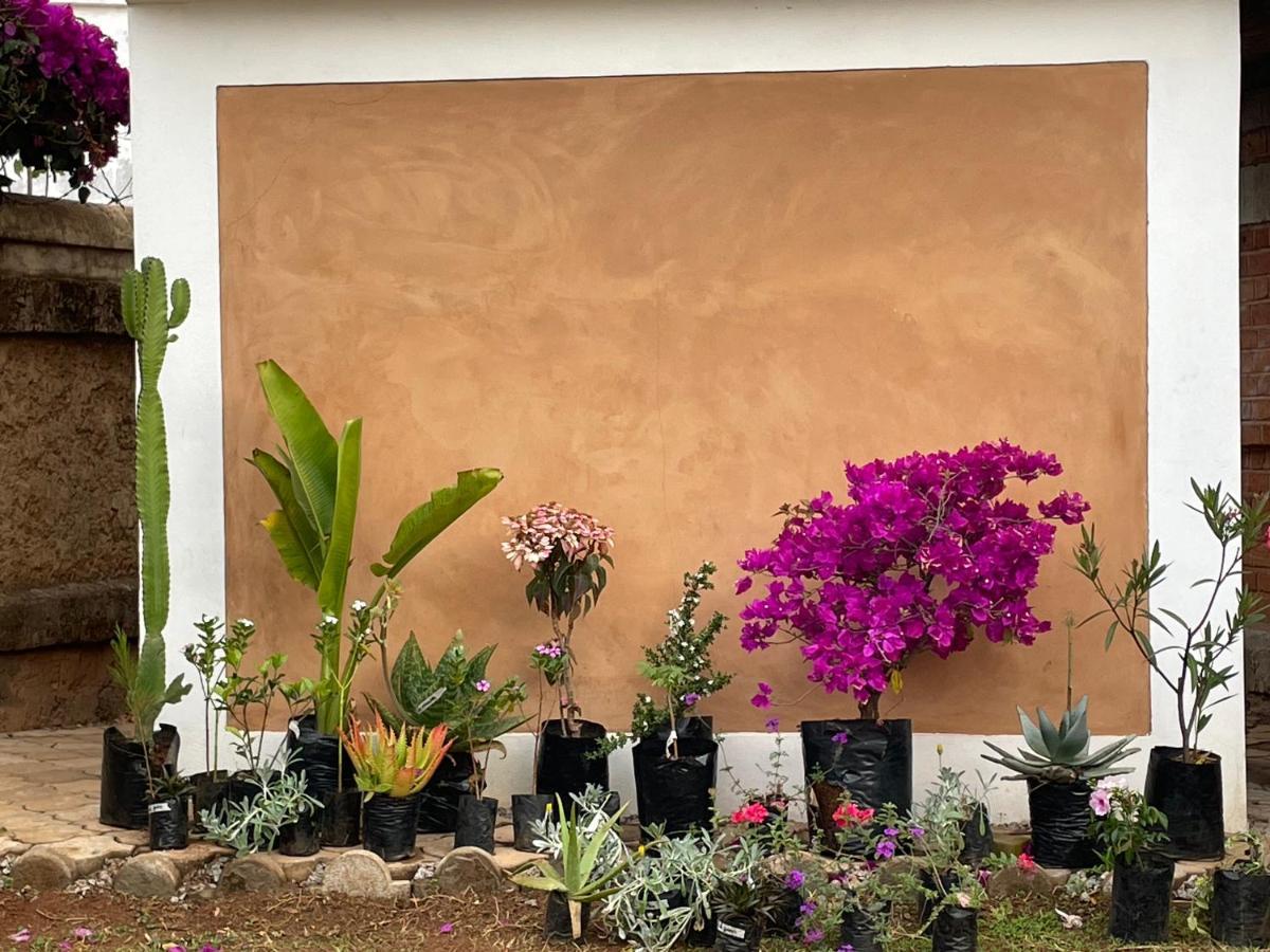 Appartements D'Hotes Marciloui Antsirabe Bagian luar foto