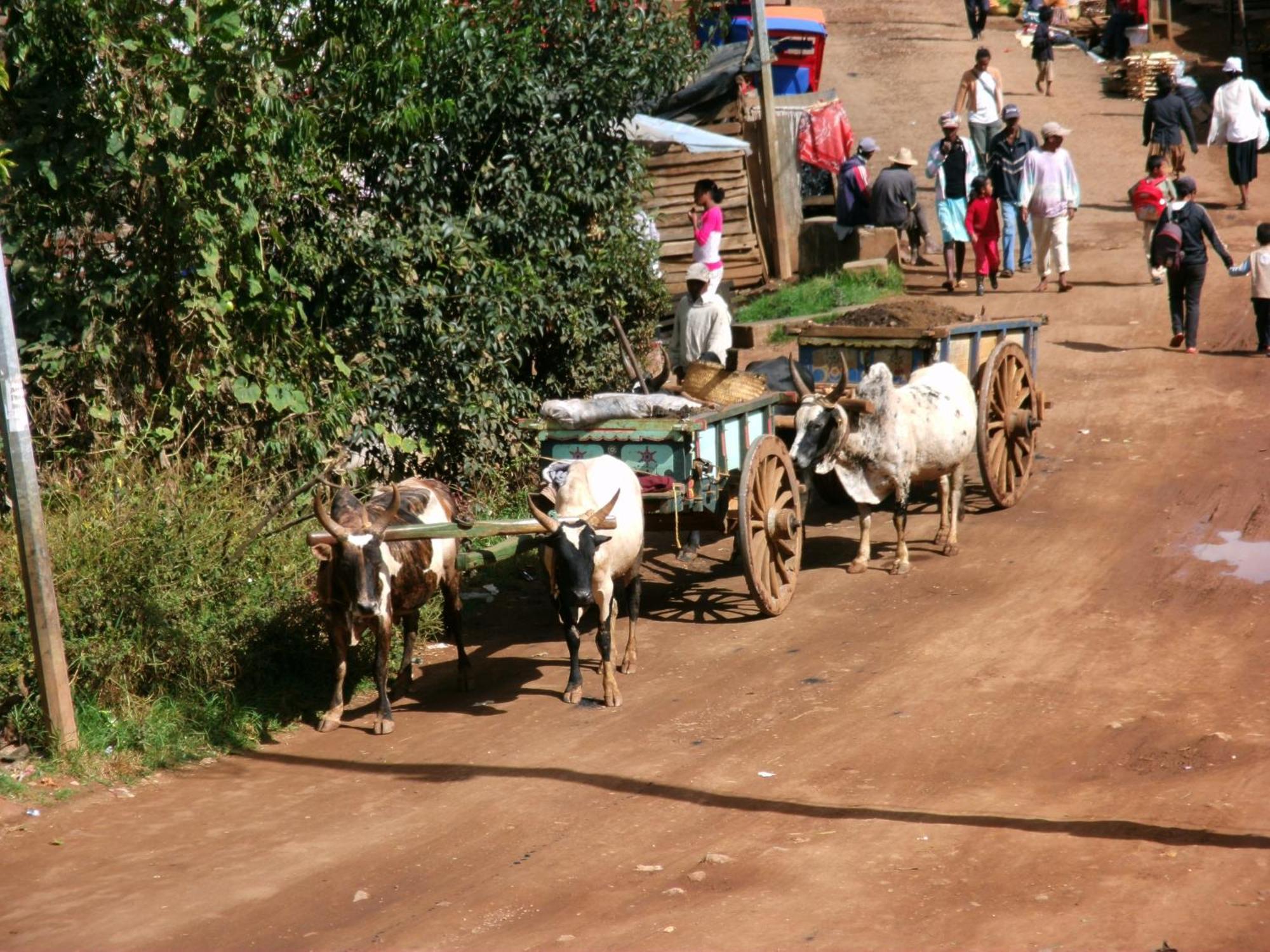 Appartements D'Hotes Marciloui Antsirabe Bagian luar foto